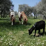 Сasa de vacaciones Casa Degli Ulivi Tolentino
