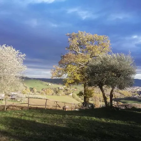 Casa Degli Ulivi טולנטינו