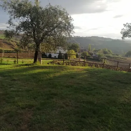 Casa Degli Ulivi Holiday home *