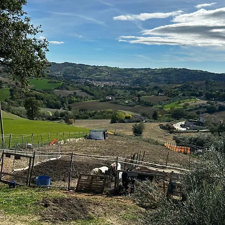 Ferienhaus Casa Degli Ulivi Tolentino