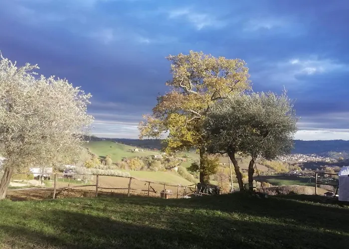 Casa Degli Ulivi Tolentino